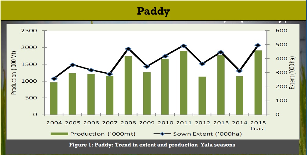 paddy 01