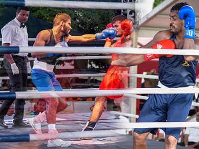 Navy bags many medals in Layton Cup Boxing Tournament - 2024