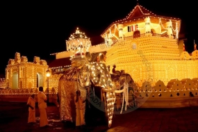 Sri Lanka to highlight Esala Perahera in Japan