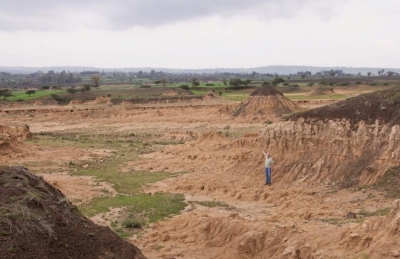 Why soil is disappearing from farms