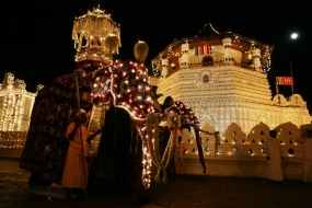 Kandy Esala Perahera 2014