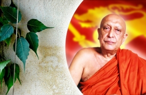 India condoles the death of Ven.Maduluwawe Sobitha thero