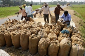 We appreciate the paddy purchasing process - Minipe Jt. Farmer Organization