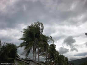 Strong winds over the country