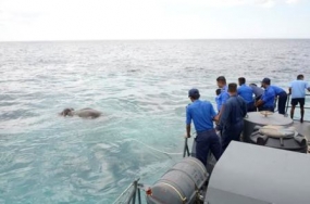 Navy saves ‘Jumbo’ at sea